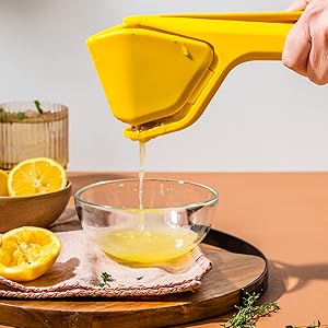 Dreamfarm Original Lemon Fluicer Easy-Squeeze Fold-Flat Citrus Juicer - 10 Inch, Suits Lime & Lemon